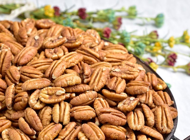 Pecans and Gourmet Nuts for Sale Sunnyland Farms