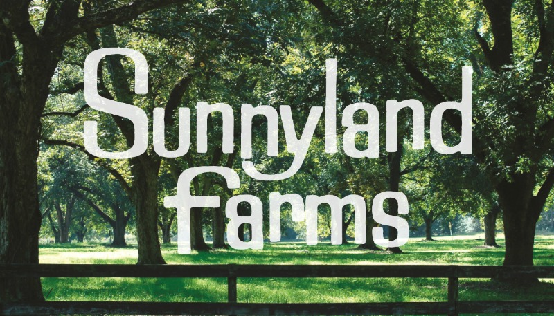 A Trip to China With US Pecans - Sunnyland Farms - Sunnyland ...