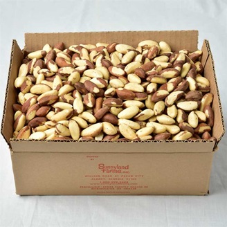 fresh brazil nuts for sale